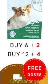 Get Free Doses of Advantage Flea Control Treatment + Free Shipping on All Orders in New York