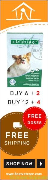 Get Free Doses of Advantage Flea Control Treatment + Free Shipping on All Orders