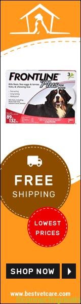 Get Huge discount on Larger Pack + Free Shipping on All Orders