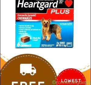 Free ad: Huge Discount for Online Heartgard Plus + Free Shipping on All Orders in New York. Huge Discount for Online Heartgard Plus + Free Shipping on All Orders in New York