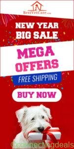 New Year Big Sale_3 in London