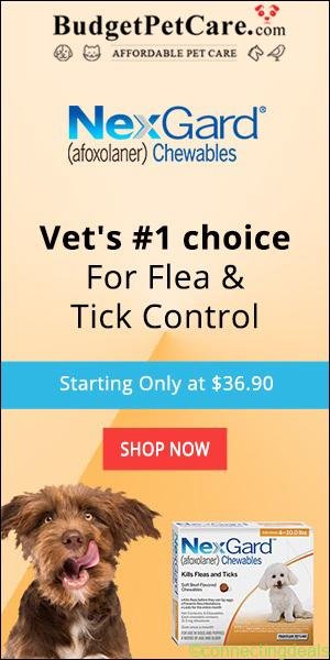 Nexgard Flea & Tick Control Treatment