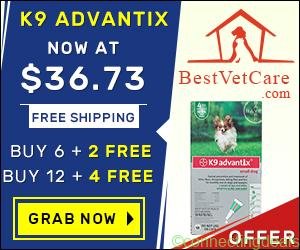 Free ad: Online K9 Advantix for Dogs at lowest price & Free Shipping on all orders in New York. Online K9 Advantix for Dogs at lowest price & Free Shipping on all orders in New York