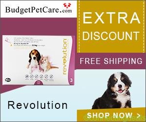 Free ad: Online Revolution For Dogs with 5% Extra Off & Free Shipping at BudgetPetCare.com in New York. Online Revolution For Dogs with 5% Extra Off & Free Shipping at BudgetPetCare.com in New York