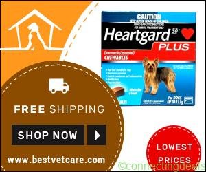 Free ad: Save Extra 10% with Super Saver Sale of Heartgard Plus + Free Shipping in New York. Save Extra 10% with Super Saver Sale of Heartgard Plus + Free Shipping in New York