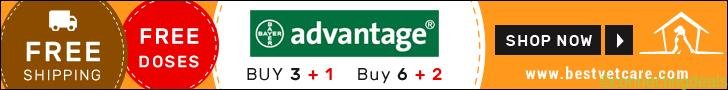 Save More on Advantage: Only $8.12 per Dose + Extra 10% Off & Free Shipping