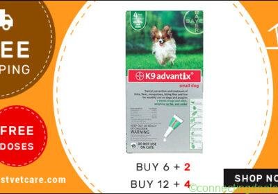 Free ad: Save More on Flea & Tick Control Treatment for Dogs + Free Shipping in New York. Save More on Flea & Tick Control Treatment for Dogs + Free Shipping in New York
