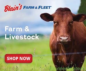 Free ad: Shop Farm & Livestock Online at Blain's Farm & Fleet in New York. Shop Farm & Livestock Online at Blain's Farm & Fleet in New York