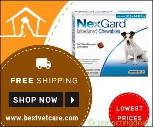Free ad: Super Savings on Online Nexgard Chewables + Free Shipping in USA in New York. Super Savings on Online Nexgard Chewables + Free Shipping in USA in New York