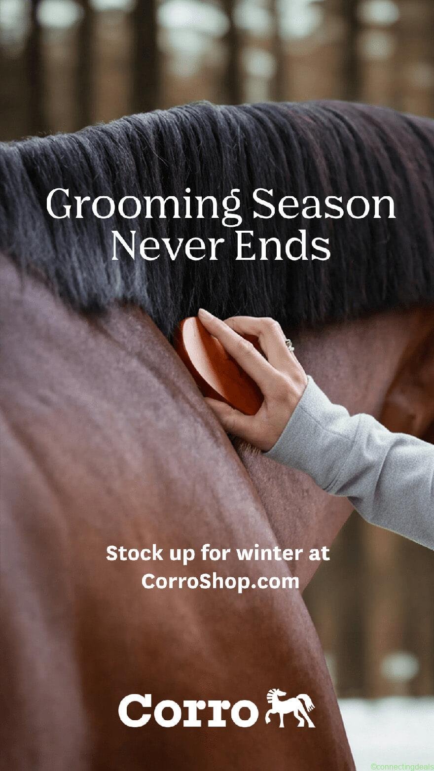 Winter Grooming