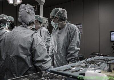 Registered Veterinary Nurse in Glasgow