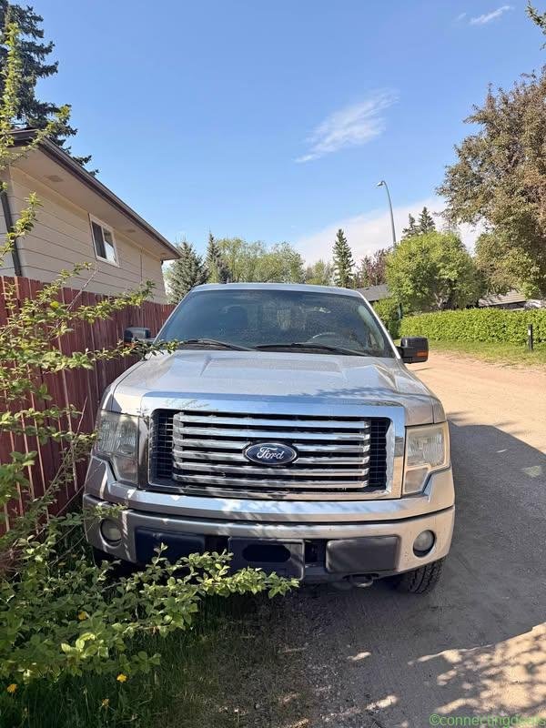 2010 Ford F-150