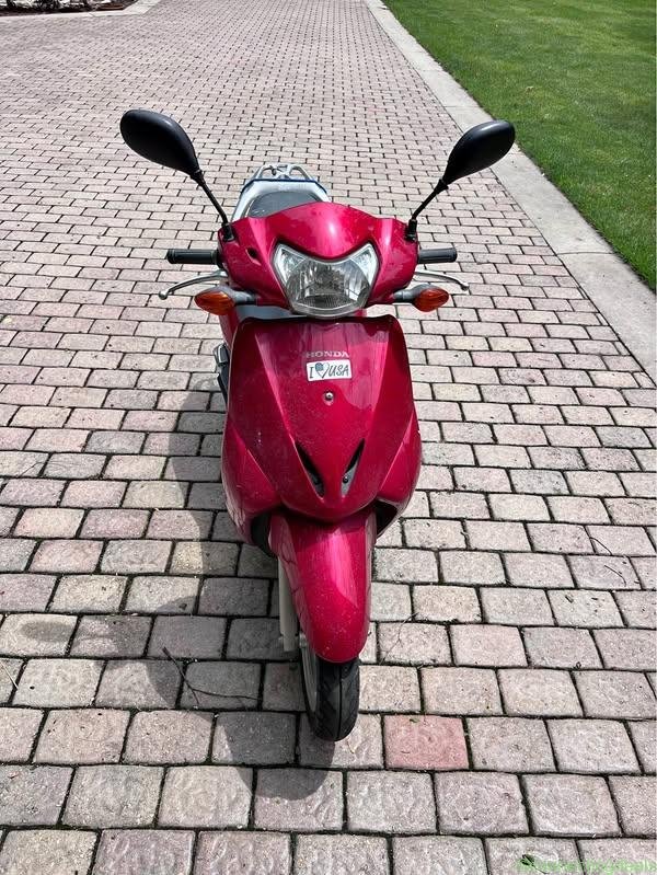 2010 Honda Elite