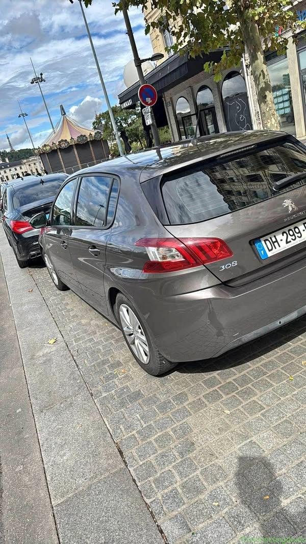 2014 Peugeot 308