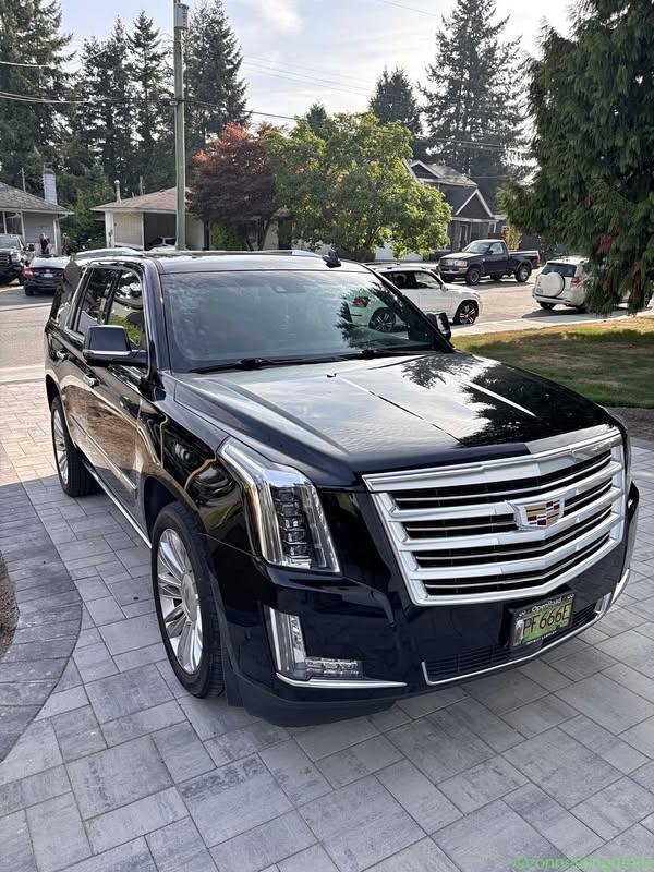 2018 Cadillac Escalade Platinum
