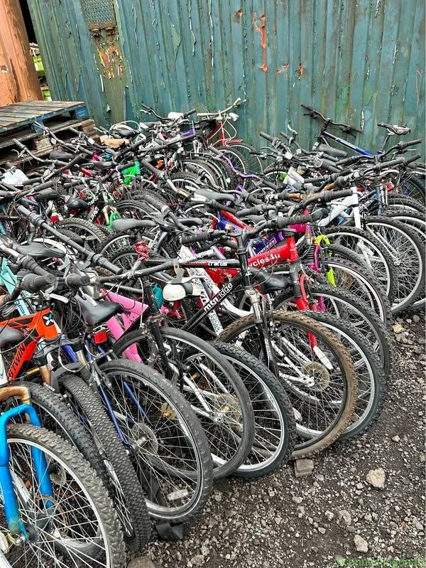 Adult and Youth Bikes