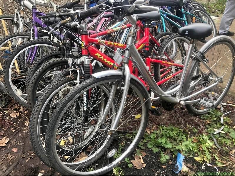 Adults and kids Bikes for sale