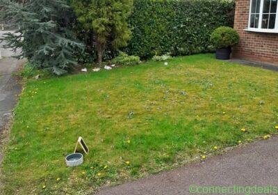 Free ad: Affordable Gardening Service Near Me in London. Affordable Gardening Service Near Me in London