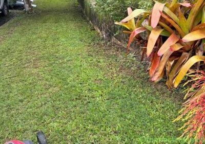 All works of gardening mowing in Brisbane