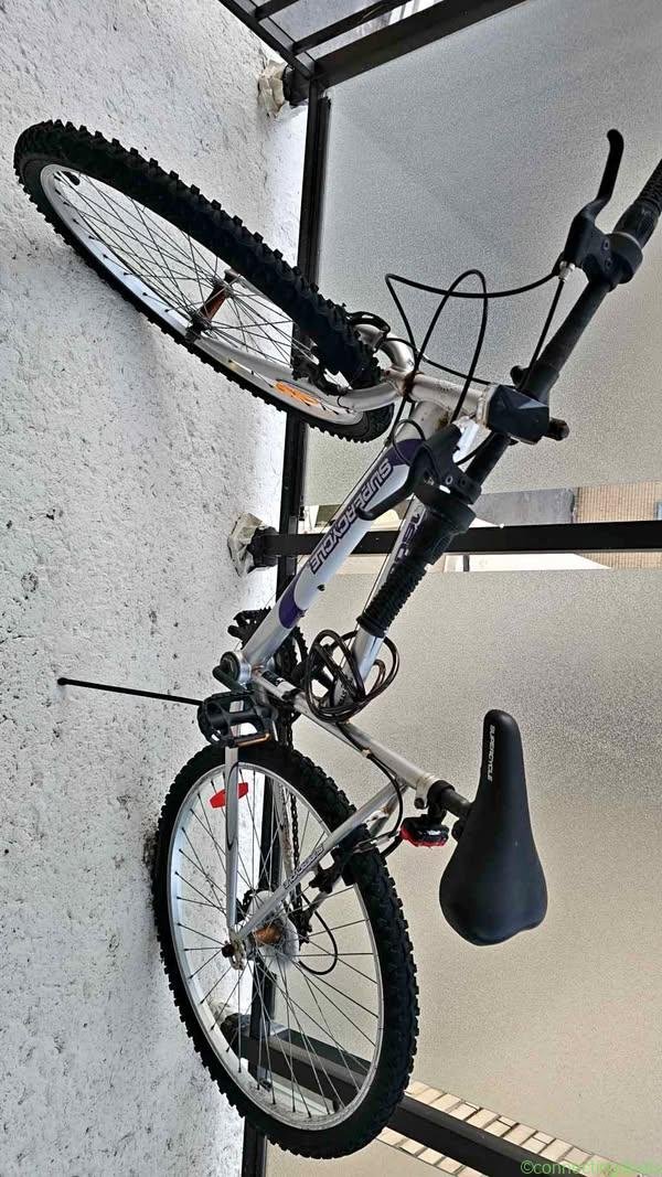 Bicycle