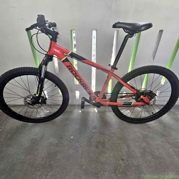 Bike mountain