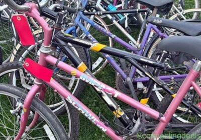 Bike sale in Chicago