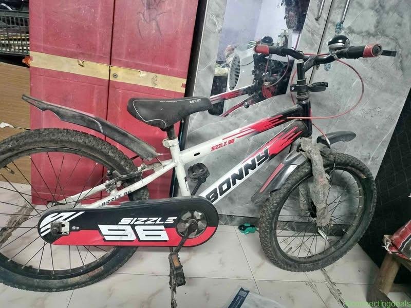 Bonny cycle