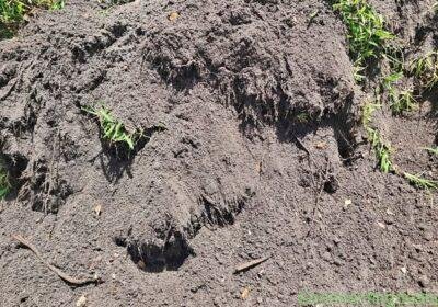 Bulk Garden Soil in Miami
