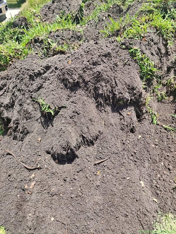 Bulk Garden Soil