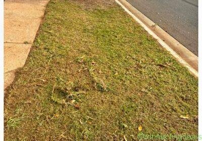 Free ad: cleaning, gardening, and garden maintenance in Adelaide. cleaning, gardening, and garden maintenance in Adelaide