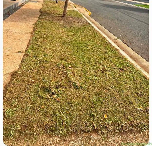 cleaning, gardening, and garden maintenance