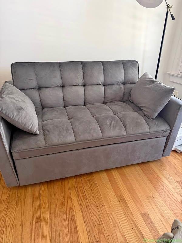 Couch/pull out