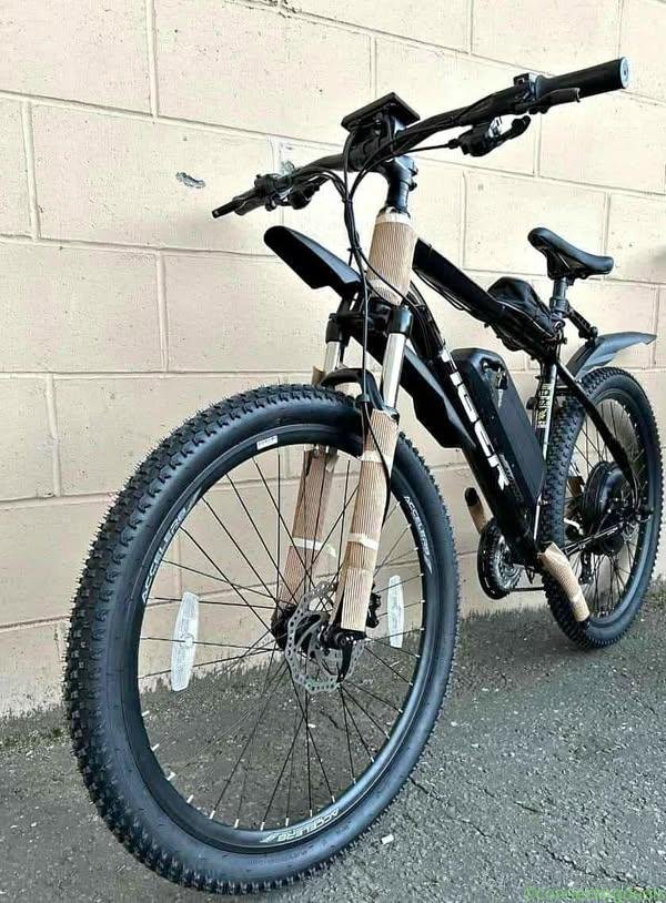 Electric Bike For Sale 1000W Motor – 60 km/h New