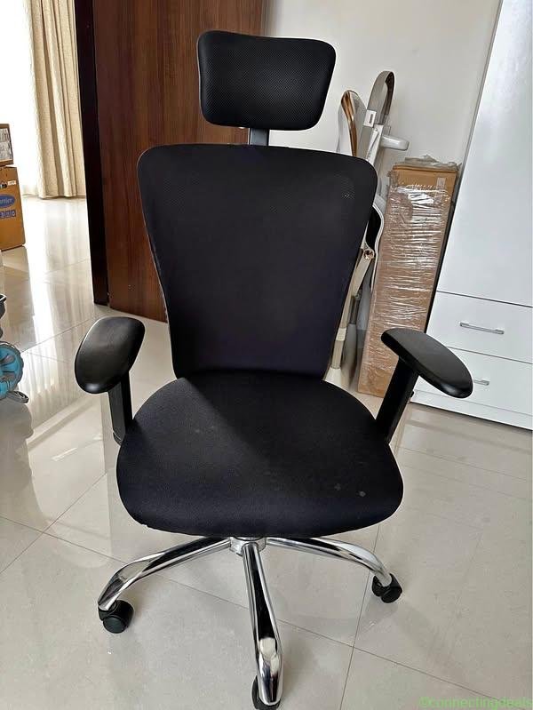 Ergonomic Chair