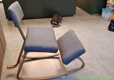 Free ad: Erogonomic kneeling chair to bless! in Singapore. Erogonomic kneeling chair to bless! in Singapore