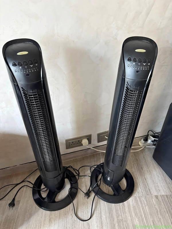 Fans Standing set of 2