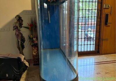 Free ad: Fish tank 4ft* 2ft * 4.5ft in Bangalore. Fish tank 4ft* 2ft * 4.5ft in Bangalore