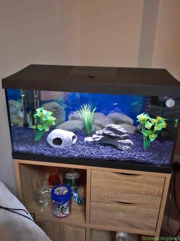 Fish tank