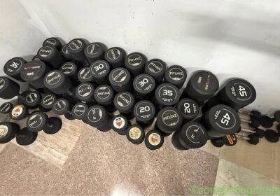 Fitline and golds gym dumbbells 900kg total in Chennai