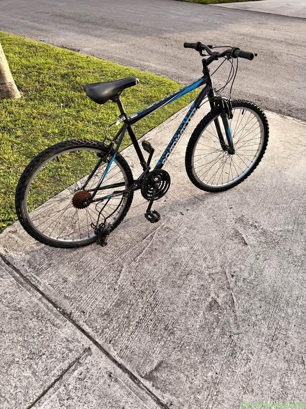 For sale Road Master Mountain Bike
