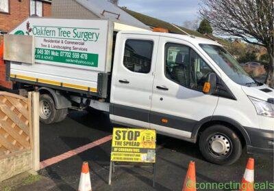 For sale tree and landscaping in Birmingham