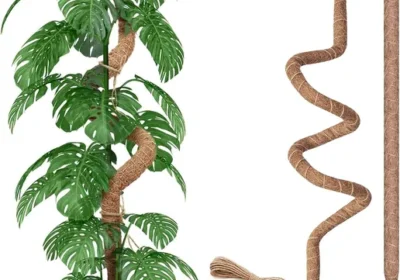 Free ad: free ads 90cm Bendable Moss Pole 2 Pack - Best Deal in Australia. free ads 90cm Bendable Moss Pole 2 Pack - Best Deal in Australia
