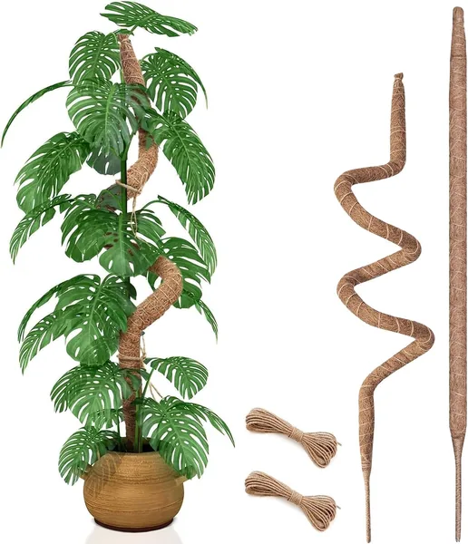 free ads 90cm Bendable Moss Pole 2 Pack – Best Deal