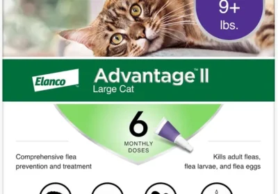 Free ad: free ads Advantage II Cat Flea Treatment - 6 Month Supply in United States. free ads Advantage II Cat Flea Treatment - 6 Month Supply in United States