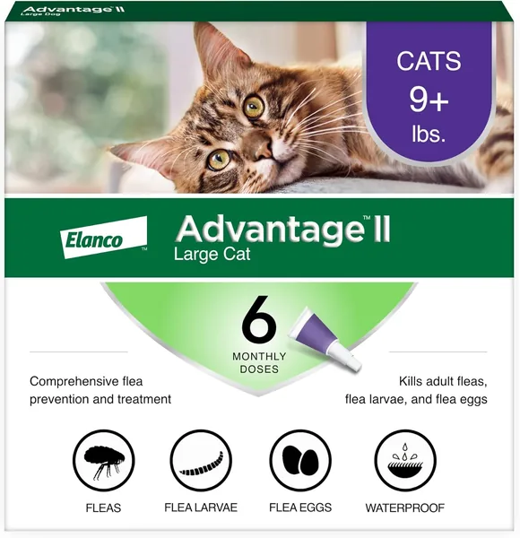 free ads Advantage II Cat Flea Treatment – 6 Month Supply