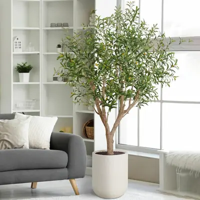free ads Artificial 8ft Olive Tree in Planter – Costco Deal