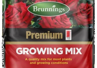 Free ad: free ads Brunnings Premium Potting Mix 25L Best Deal in New Zealand. free ads Brunnings Premium Potting Mix 25L Best Deal in New Zealand