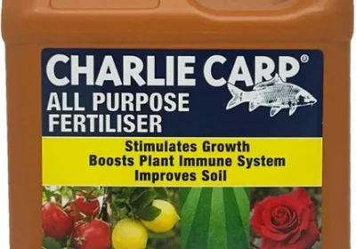Free ad: free ads Charlie Carp All Purpose Fertiliser 1L Best Deal in New Zealand. free ads Charlie Carp All Purpose Fertiliser 1L Best Deal in New Zealand