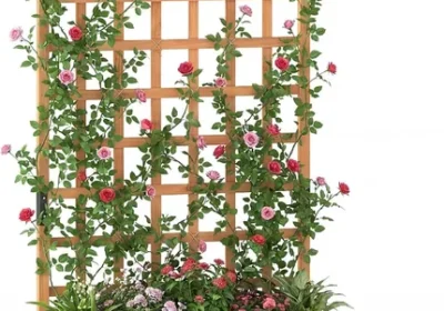 free ads Costway Raised Garden Bed Trellis 182cm Best Deal in New Zealand