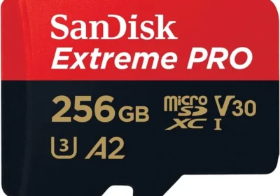 Free ad: free ads بطاقة SanDisk microSD فائقة السرعة 256 جيجابايت للتصوير بدقة 4K على الهواتف الذكية والكاميرات الحرارية والطائرات بدون طيار، سرعة القراءة 200 ميجابايت/ثانية، سرعة الكتابة 140 ميجابايت/ثانية in Qatar. free ads بطاقة SanDisk microSD فائقة السرعة 256 جيجابايت للتصوير بدقة 4K على الهواتف الذكية والكاميرات الحرارية والطائرات بدون طيار، سرعة القراءة 200 ميجابايت/ثانية، سرعة الكتابة 140 ميجابايت/ثانية in Qatar